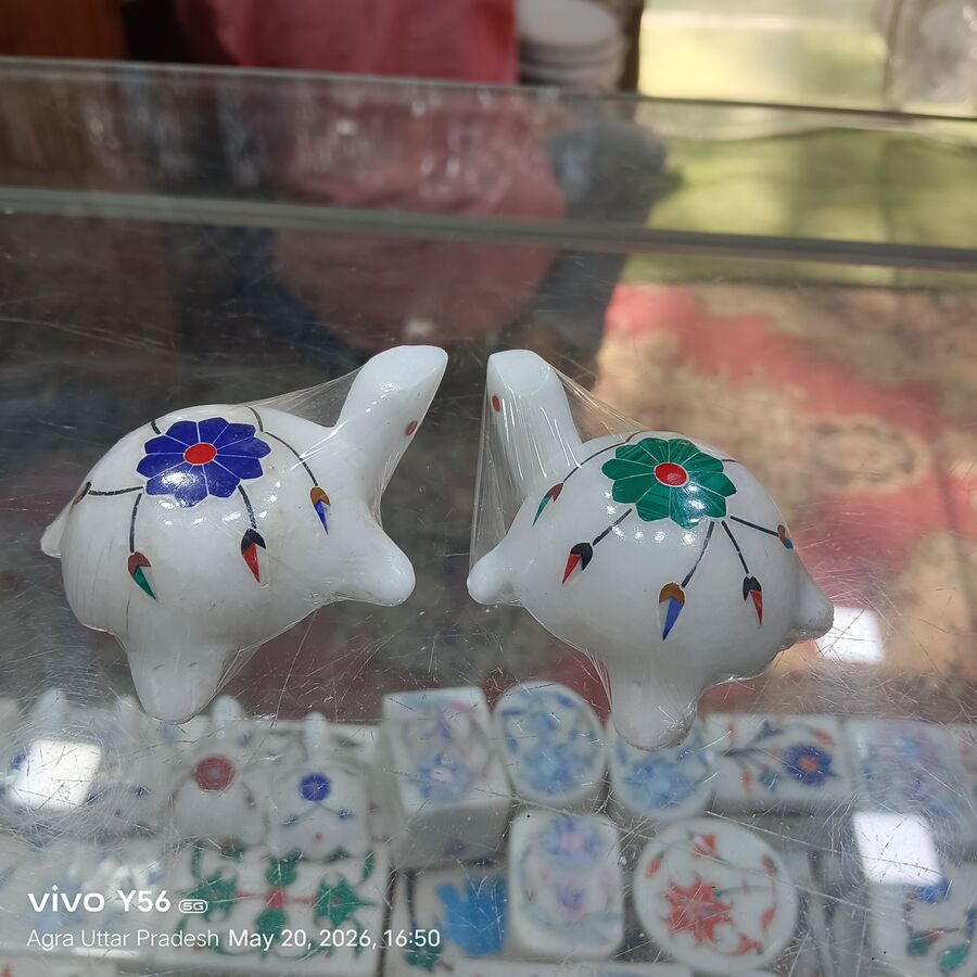 Marble Turtle Agra